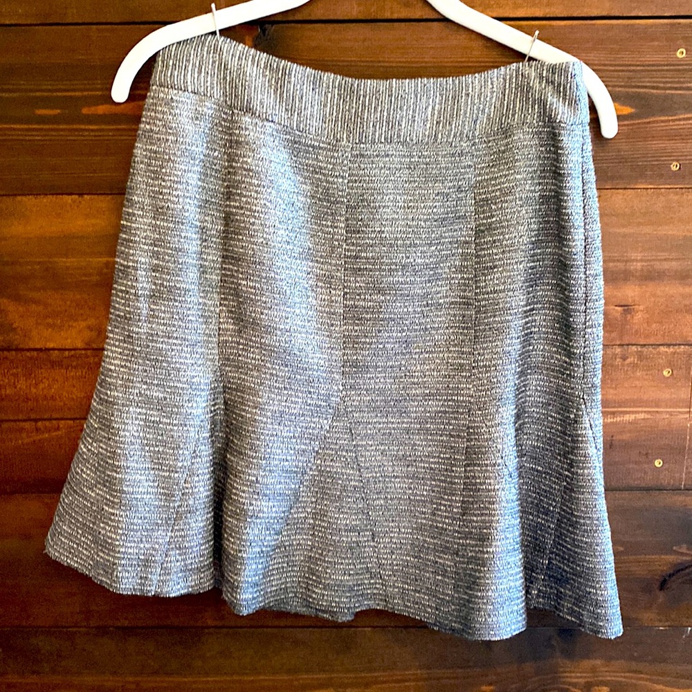 Sparkly Fit and Flare Skirt